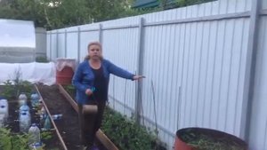 КАК СДЕЛАТЬ ОПОРУ ДЛЯ ГОРОХА/Сделала красивую опору для гороха и бобов