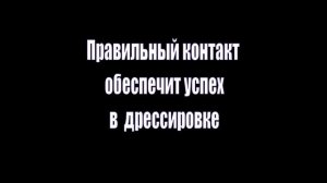 Тайский Риджбек. Дрессировка