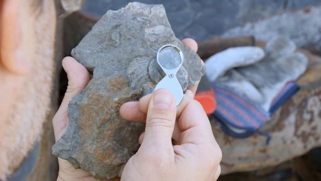 Во что эволюционирует пластик? Как в камни ??! смотреть онлайн