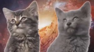 С Днём Рождения Дима