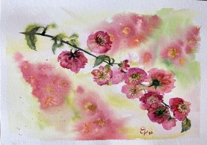 Белый цвет в акварели/ белая гуашь по мокрому и по сухому