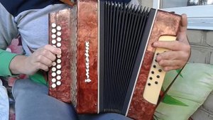 Гармонь Гармошка Марічка 23 х 12 Хромка