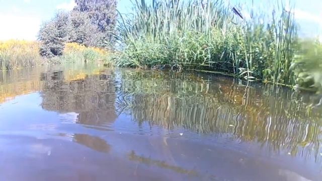 Отдых на природе.Сочный шашлык и рыбалка на экран(телевизор). смотреть онлайн