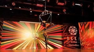 Цирковое выступление воздушных гимнасток