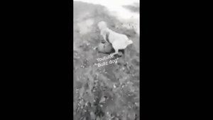 +18 ДРАКА КАВКАЗЦА И АЛАБАЯ! кавказская овчарка/алабай/драка