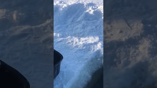 Зарыбление спарктика,рыбалка со льда РК «Фишка» Петряиха