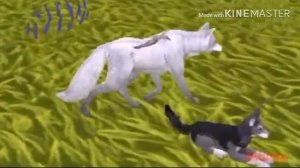 :WildCraft: --Клип-- "День, ночь руки прочь!" (Old video)