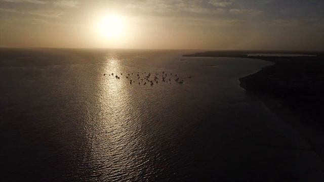 Punta Cana Paradisus Palma Real HD March 2019 смотреть онлайн