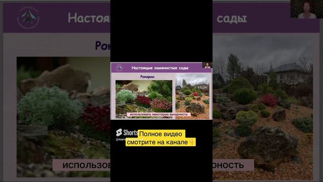 Яркий рокарий #малоуходныйсад #садовод #сад #альпийскаягорка #рокарий #дизайнсада #красота #хвойные