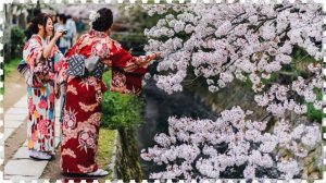 «Веточка сакуры» композитор Виктор Михайлович Анохин