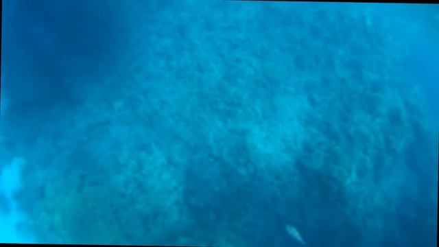 ДАЙВИНГ, ЕГИПЕТ, ХУРГАДА смотреть онлайн