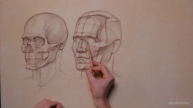 КАК РИСОВАТЬ ГОЛОВУ ЧЕЛОВЕКА? | Онлайн-школа Akademika