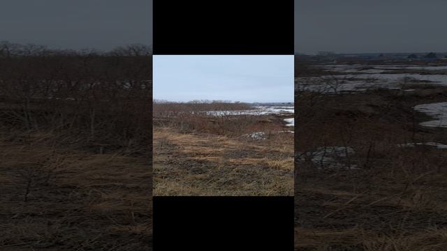 Открыл новый сезон выращивания зелени и овощей