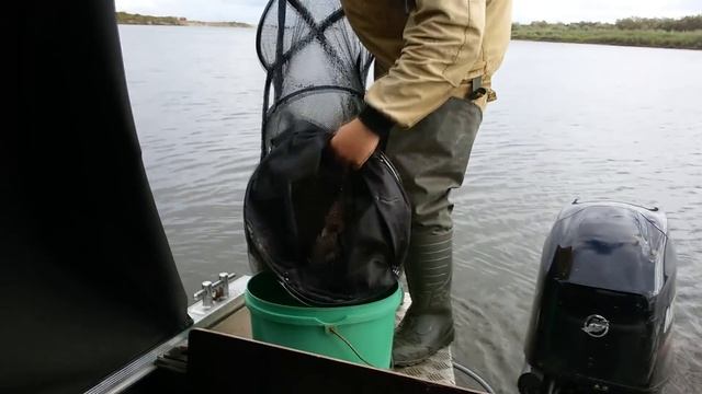 Моторная лодка, катер Real Craft 470  (Салют 470). Отзыв после первого сезона