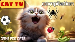 ? Игры и видео для котов и кошек ? 3 ЧАСА Игры и интерактивное видео для кошек ? Кошка ТВ