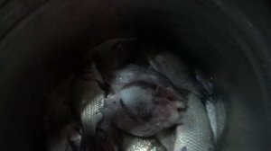 КАк засолить карася, да капец как просто