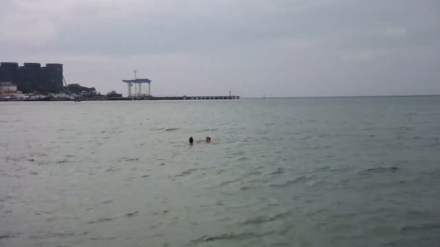 Девушки и дельфины смотреть онлайн