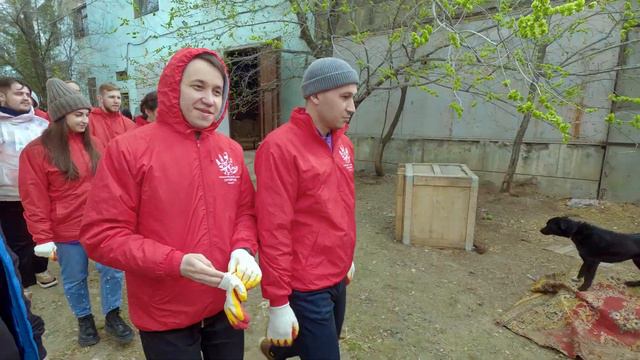 ЗооПрорыв в Волжском приюте УГОЛËК