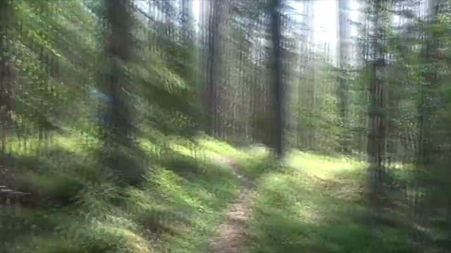 Зачётная рыбалка на хариуса, лодка Абакан 380 джет. смотреть онлайн