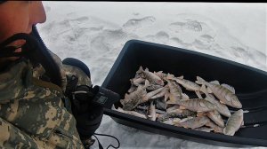 Рыбалка на водохранилище! Мормышка - Корыто Окуня!