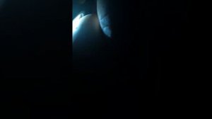 Овоскопирование яйца на 8 ой день . У нас 7 зародышей