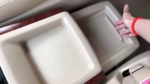 Reviewing Vellfire | 2010 Toyota Vellfire Full Option White Edition