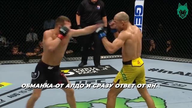 ? ПЕТР ЯН vs СТЕРЛИНГ - РАЗБОР ПОЕДИНКА UFC 259 смотреть онлайн