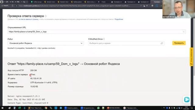 Как узнать, когда сайт появится в поисковиках? Почему сайт не отображается в поисковике Яндекс?
