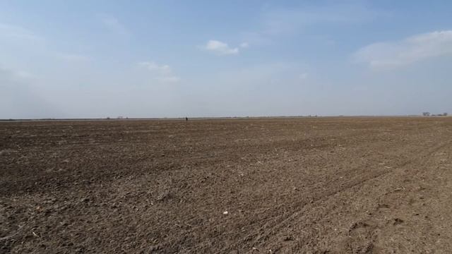 Кольцевик!!! Медаль!!! Утюжим поле. смотреть онлайн