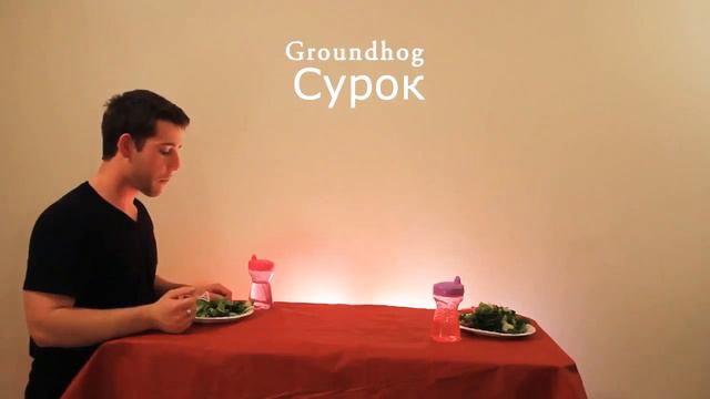 Как едят животные. Часть 1. смотреть онлайн