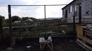 Ворота С КАЛИТКОЙ. ВОРОТА СВОИМИ РУКАМИ. РЕМОНТ ВОРОТ. КАЛИТКА И ВОРОТА СВОИМИ РУКАМИ из ПРОФНАСТИЛ