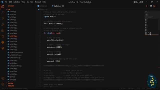 Pandas Code in Python turtle import graphics
