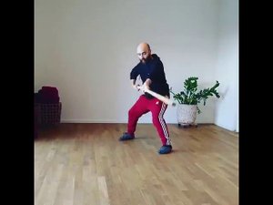 Встряхивание длинного шеста (тайцзидаган)