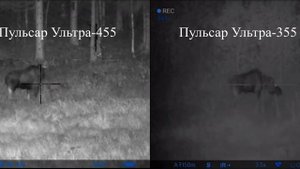 Сравнение "картинки" цифровых прицелов Пульсар Ультра-355 и Ультра-455 (штатные подсветки)