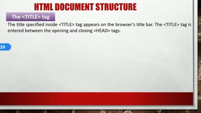 HTML, basic html elements, HTML document structure, HTML tag, HEAD tag, BODY tag for Class 10, CBSE