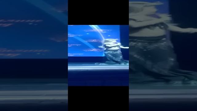 Варя  и ее танец Табла