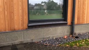 Облицовка фасада ригельным кирпичом, ригельной плиткой и гранитной плиткой