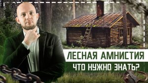 Лесная амнистия. Что делать, если участок расположен на границе с лесом? Лес и дача. Лесной фонд