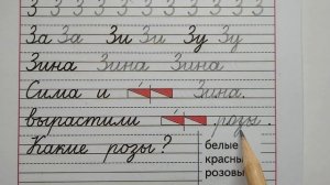 Заглавная буква З,  стр.10, часть3. Прописи 1 класс (В.Г. Горецкий, Н.А. Федосова).