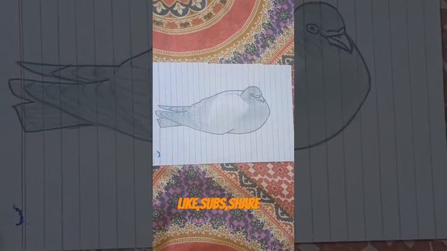 REALISTIC BIRDS SKETCH..