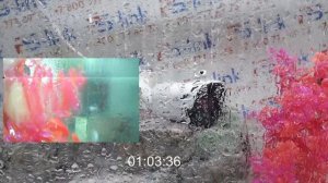 Тестирование камеры PS-link AHD108C на степень защиты IP66