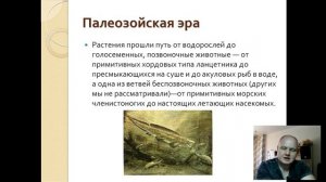 7 класс. Этапы эволюции органического мира