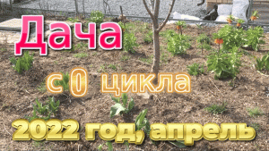 Дача с 0, апрель.mov