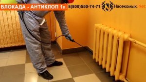 Уничтожение постельных клопов средством Блокада Антиклоп