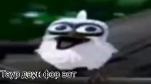 Птица орёт 15 звуками!