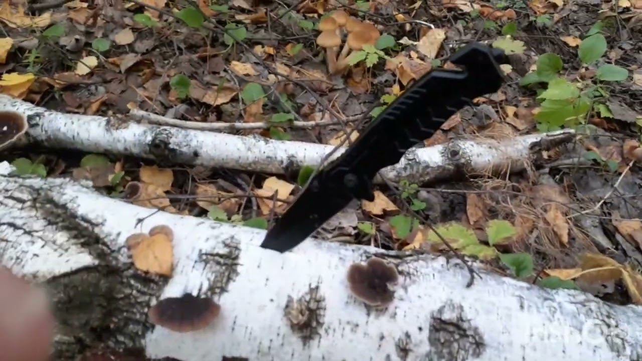 Шёл по лесу нашёл опят смотреть онлайн