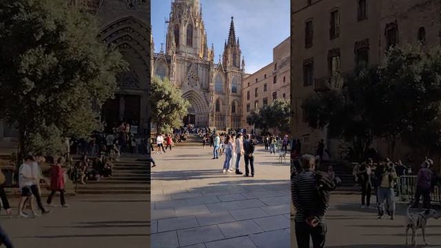 Spain Barcelona Cathedral Short View