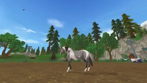 Покупка лошади/Новый американский пейнтхорс/Star Stable Online