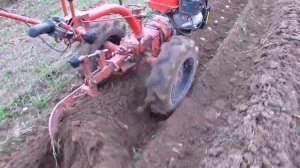 Мотоблок Беларус 08-МТ. Посадка картошки.