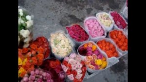 Цветочный рынок Краснодар 17 11 19 г  обзор